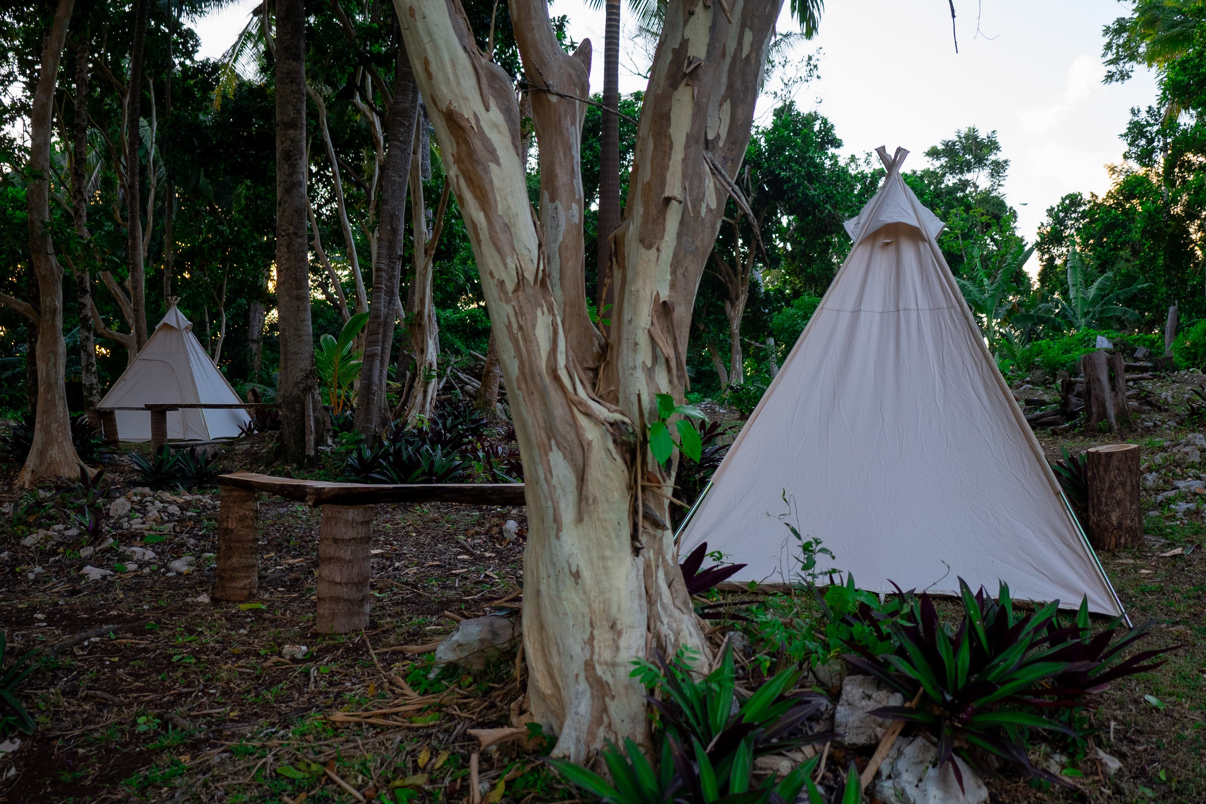 A trail winding through the Mudita property